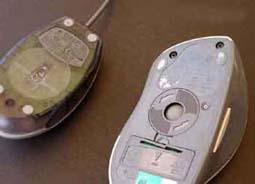 ratón óptico y de bola